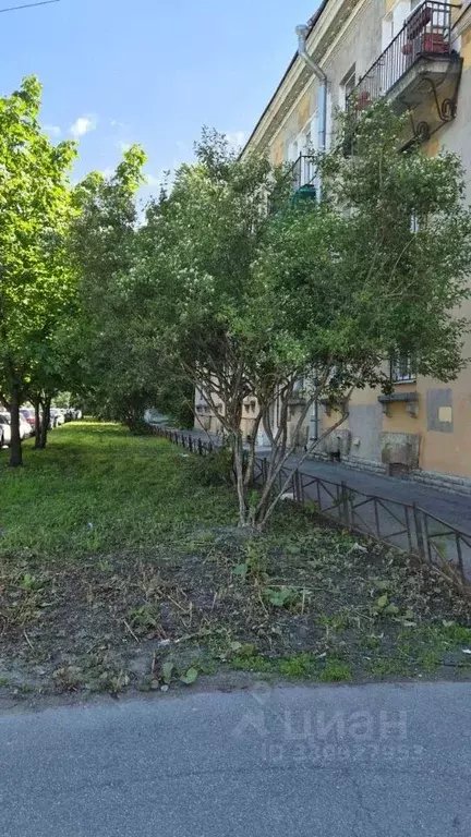Комната Санкт-Петербург Большой Смоленский просп., 24 (17.0 м) - Фото 2