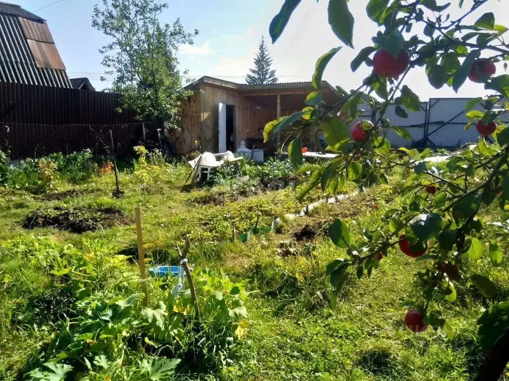 Дом в Свердловская область, Екатеринбург Нива СНТ, 125 (10 м) - Фото 0