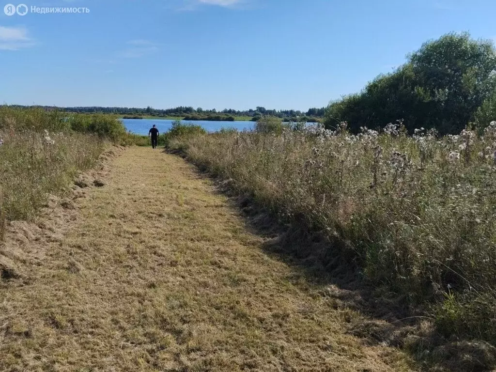 Участок в Новгородская область, Шимское городское поселение, деревня ... - Фото 1