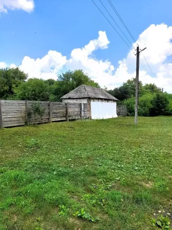 Участок в Воронежская область, Хохольский район, Староникольское ... - Фото 1