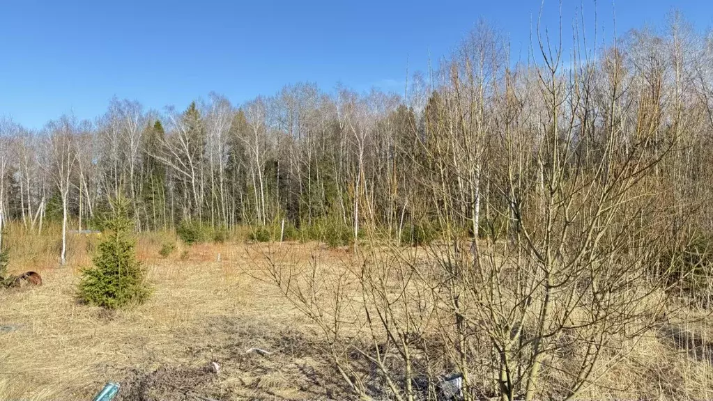 Участок в Калужская область, Жуковский муниципальный округ, Чубарово ... - Фото 1