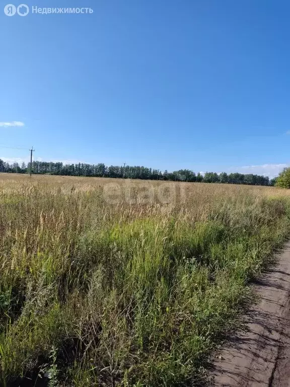 Участок в Мокшанский район, Рамзайский сельсовет, село Рамзай (10.4 м) - Фото 1