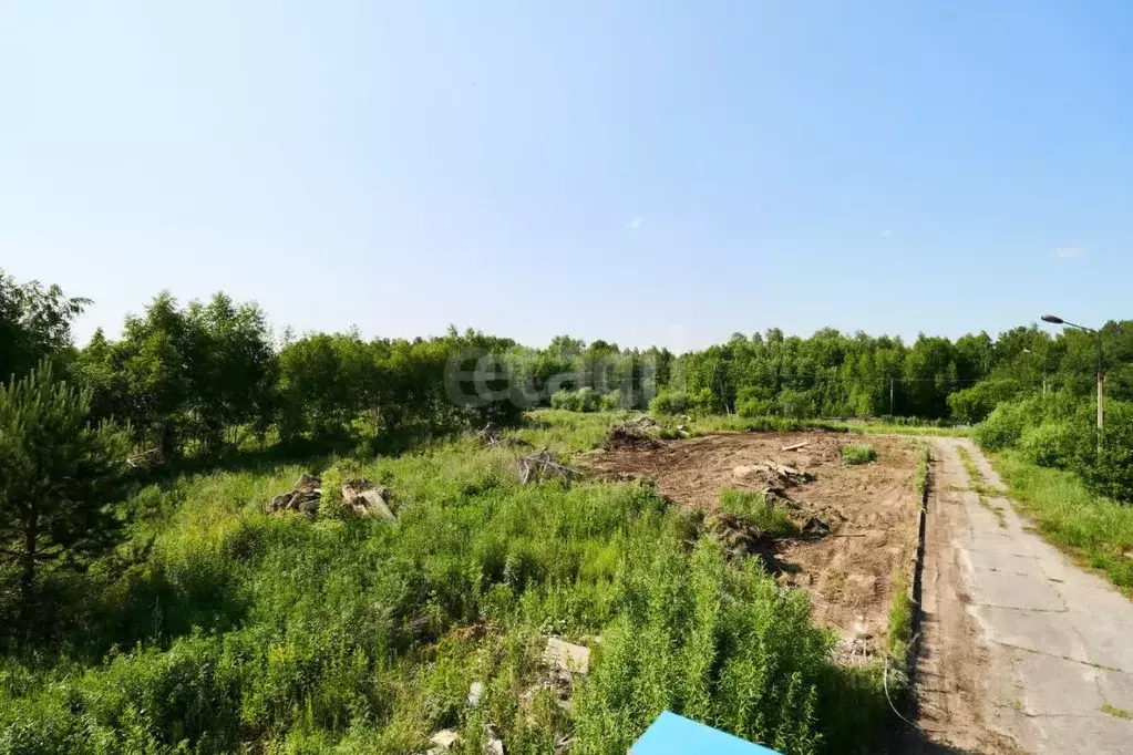 Участок в Томская область, Северск ул. Тургенева (11.4 сот.) - Фото 1