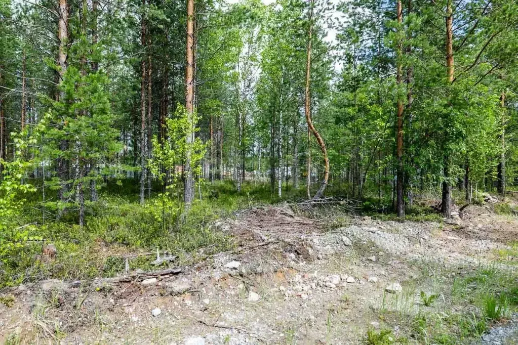 Участок в Ханты-Мансийский АО, Сургутского муниципального района тер., ... - Фото 0