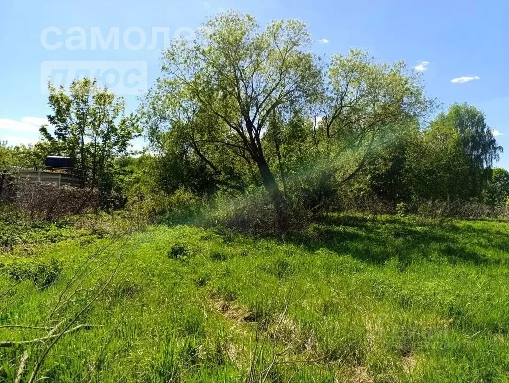 Участок в Московская область, Солнечногорск городской округ, д. Новое ... - Фото 1