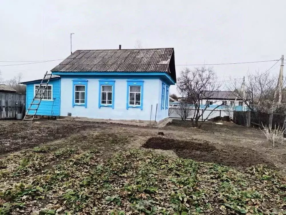 Дом в Амурская область, с. Тамбовка ул. Новая, 4 (30 м) - Фото 2