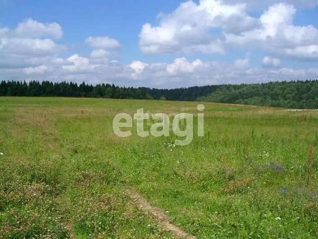 Участок в Тюменская область, Ишимский район, с. Гагарино  (15.0 сот.) - Фото 1