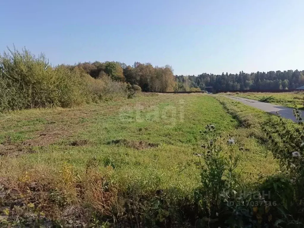 Участок в Московская область, Пушкинский городской округ, с. Ельдигино ... - Фото 0