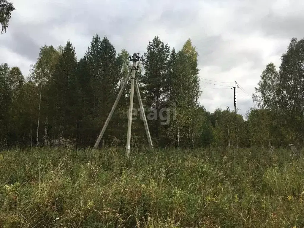 Участок в Новосибирская область, Искитимский район, с. Тальменка  ... - Фото 1