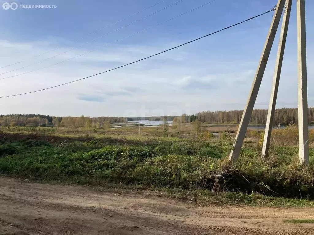 Участок в Костромская область, Макарьевский муниципальный округ, село ... - Фото 1