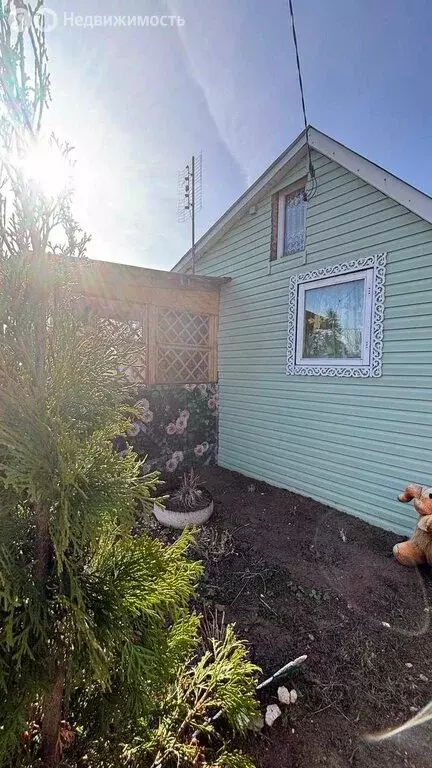 Участок в Киров, СДТ Пригородное-3/1 (5 м) - Фото 2