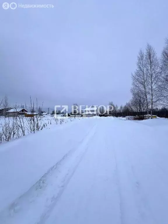 Участок в Костромской район, Бакшеевское сельское поселение, деревня ... - Фото 2
