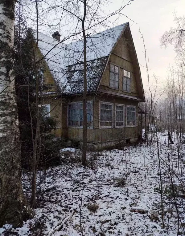Участок в Ленинградская область, Выборгский район, Рощино городской ... - Фото 2