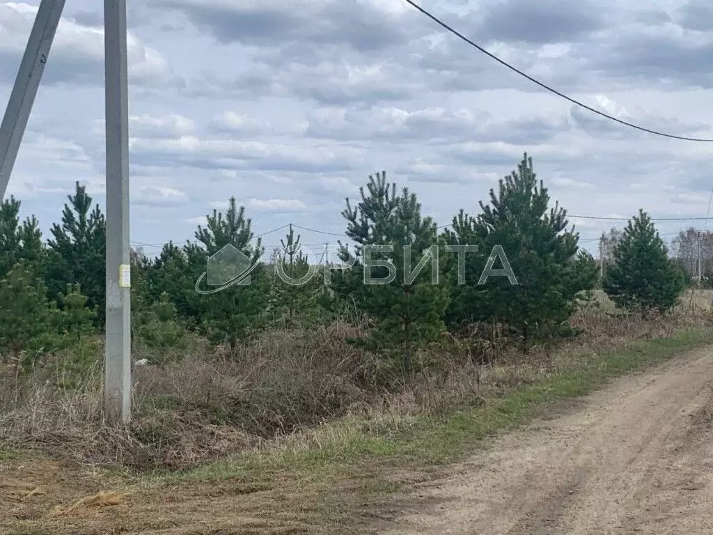 Участок в Тюменская область, Тюменский район, с. Чикча  (830.0 сот.) - Фото 1