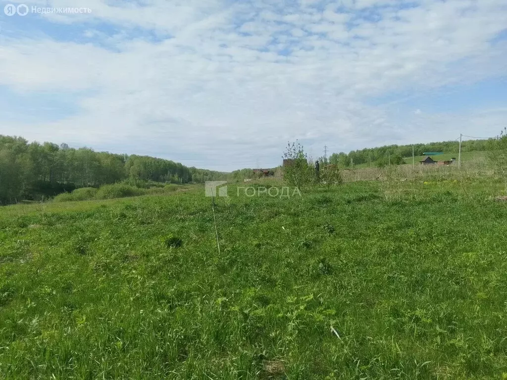 Участок в Раздольненский сельсовет, деревня Мостовая (700 м) - Фото 1