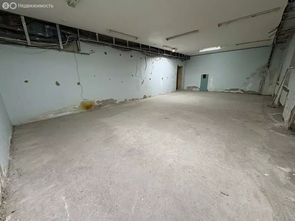 Помещение свободного назначения (57.2 м) - Фото 1