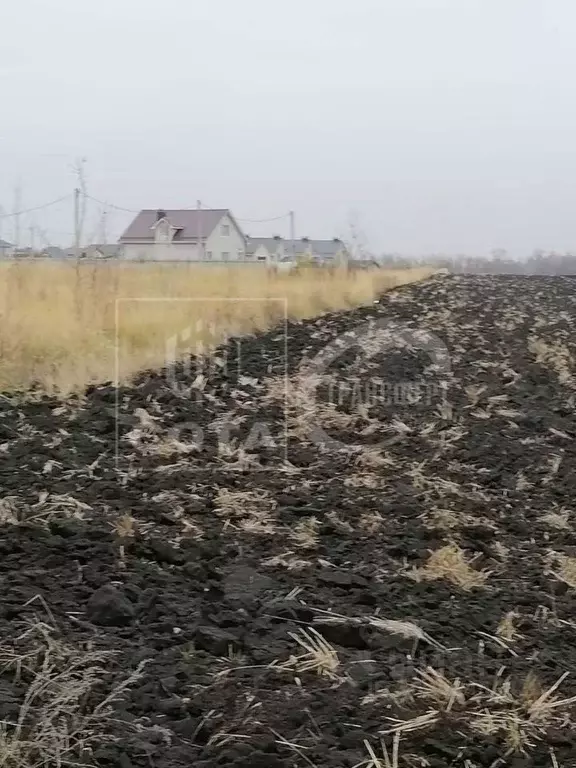 Участок в Воронежская область, с. Новая Усмань  (20.0 сот.) - Фото 0