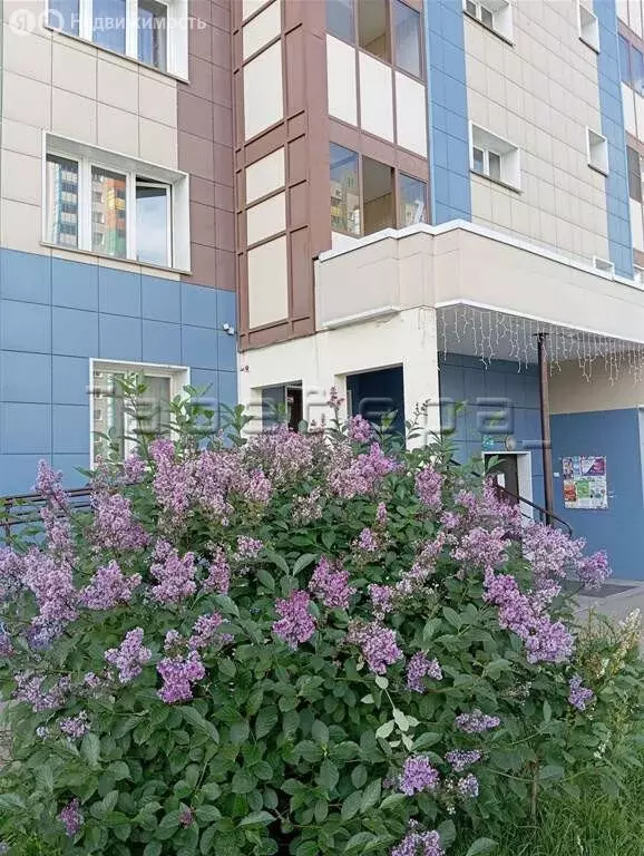 Квартира-студия: Красноярск, Караульная улица, 40 (31 м) - Фото 1