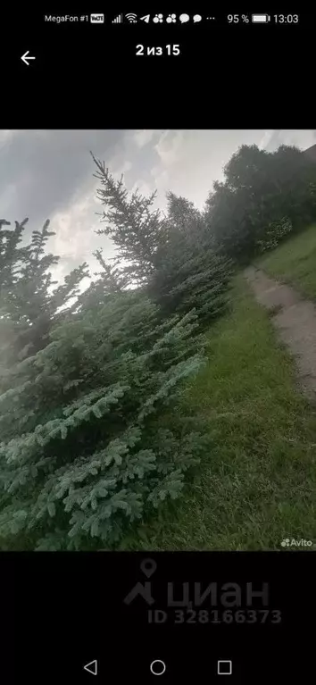 Участок в Белгородская область, Белгородский район, Комсомольское ... - Фото 1