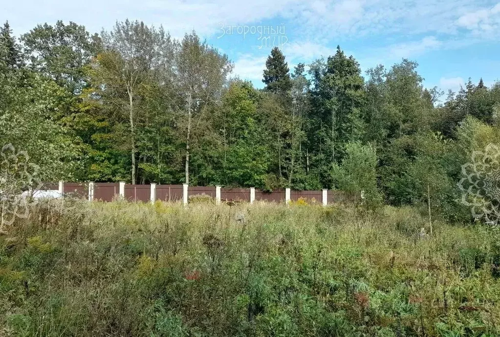 Участок в Московская область, Пушкинский городской округ, Ашукино пгт ... - Фото 1