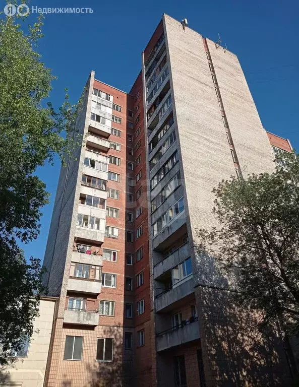 Квартира-студия: Санкт-Петербург, Светлановский проспект, 60к2 (25.2 ... - Фото 0