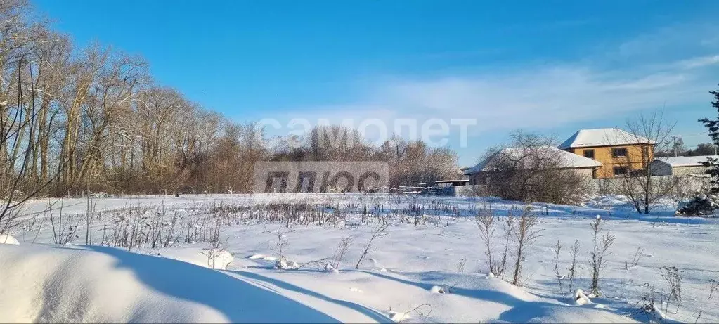 Участок в Курская область, Курский район, Клюквинский сельсовет, пос. ... - Фото 2