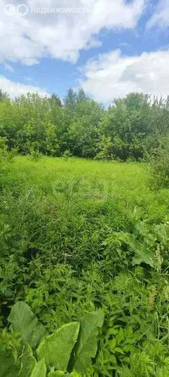 Участок в деревня Ржавка, Горная улица (4 м) - Фото 0
