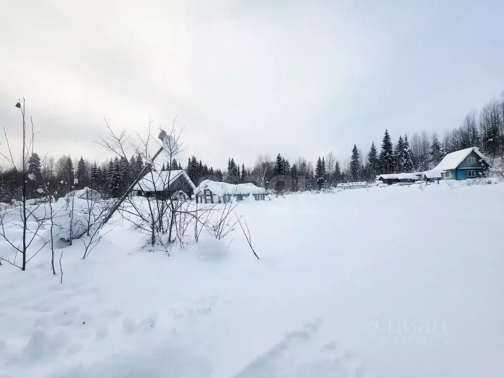 Участок в Коми, Сыктывдинский район, Выльгорт муниципальное ... - Фото 1