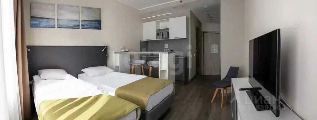 Студия Санкт-Петербург Витебский просп., 101к1 (23.7 м) - Фото 0