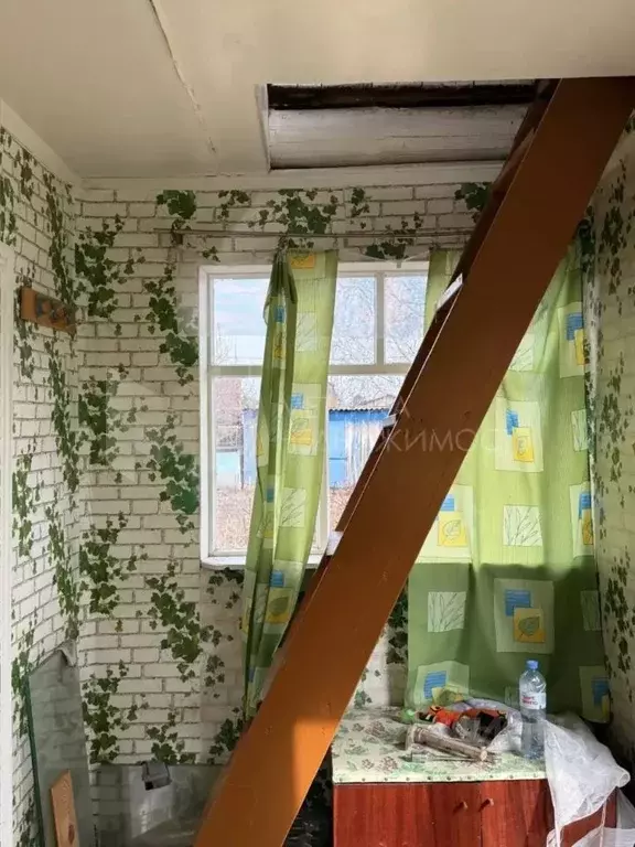 Дом в Тюменская область, Тюмень Ручеек СНТ, ул. Клубничная, 22 (40 м) - Фото 1