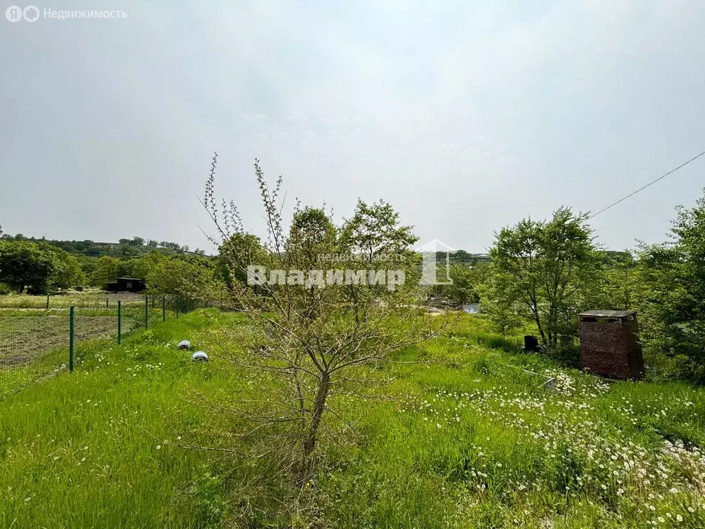 Участок в Приморский край, Партизанский муниципальный округ, СНТ Марс, ... - Фото 2