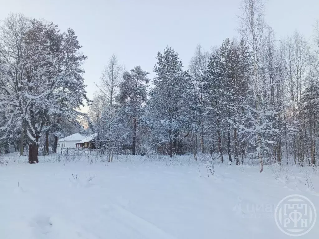 Участок в Ленинградская область, Выборгский район, Красносельское ... - Фото 1