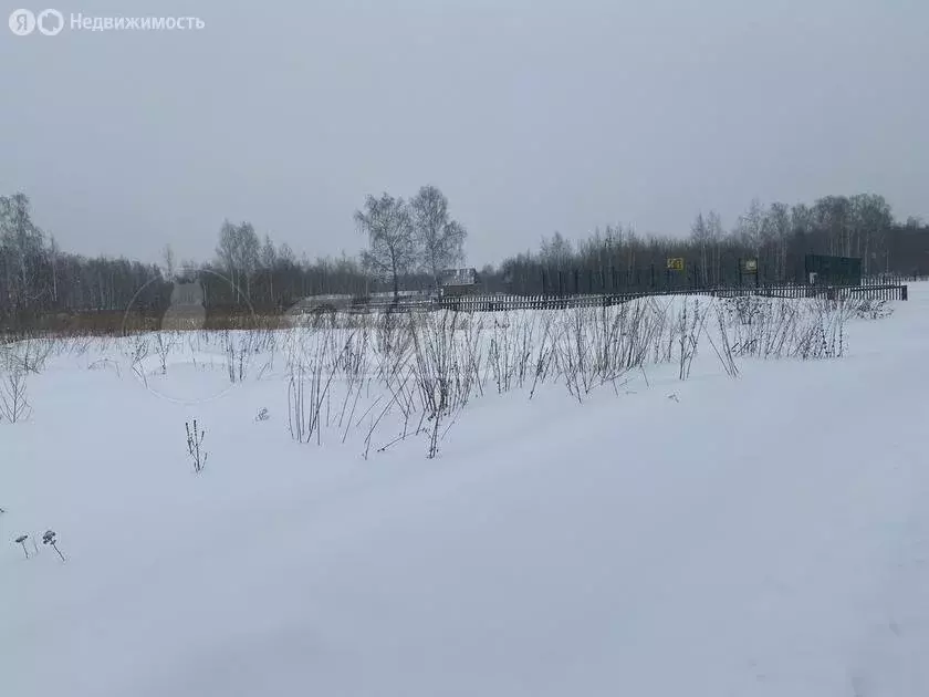 Участок в Тюменский район, деревня Нариманова (18 м) - Фото 1