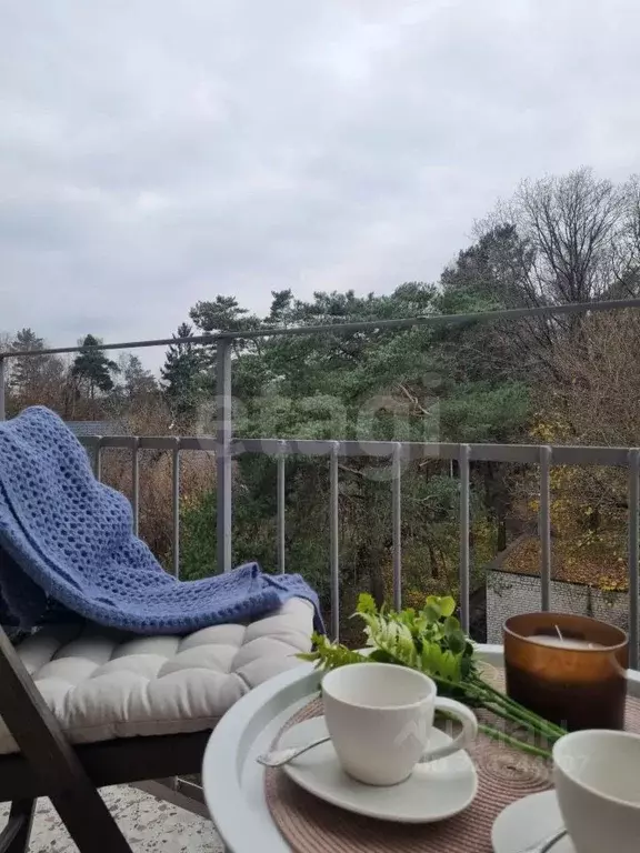 1-к кв. Калининградская область, Светлогорск Пригородная ул., 42 (34.3 ... - Фото 2