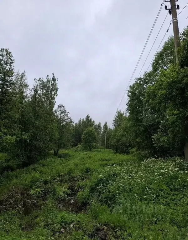 Участок в Ленинградская область, Приозерский район, пос. Сосново  ... - Фото 1