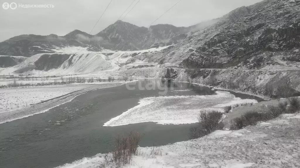 Участок в Онгудайский район, село Купчегень (418.4 м) - Фото 1