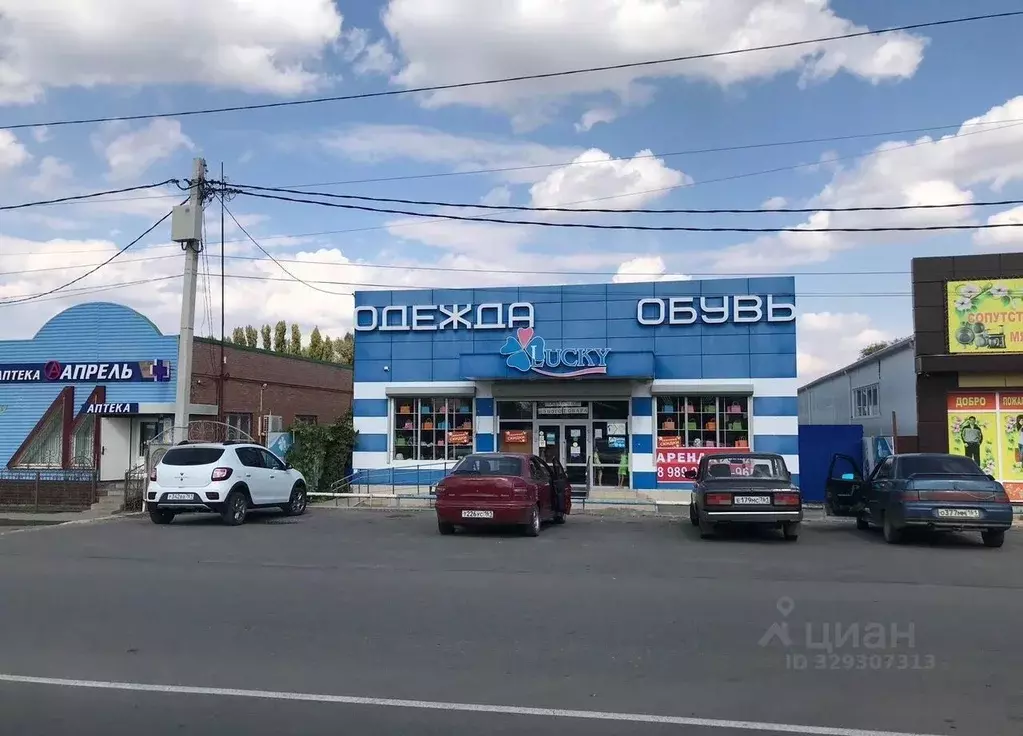 Торговая площадь в Ростовская область, Егорлыкская ст-ца ул. ... - Фото 2
