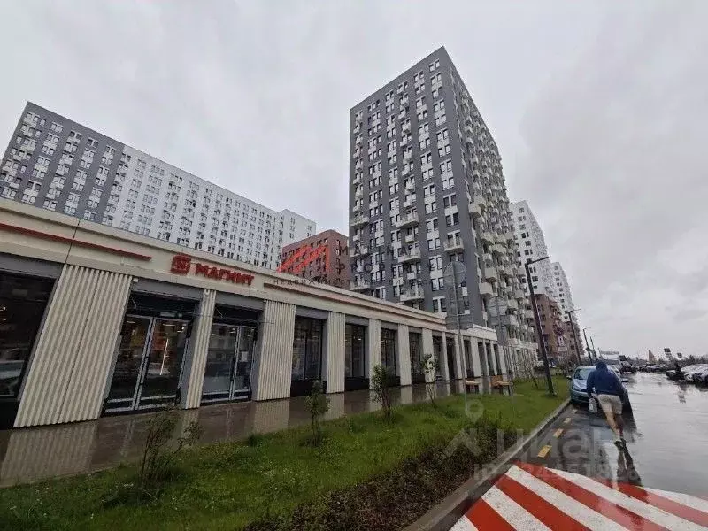 Торговая площадь в Московская область, Ленинский городской округ, д. ... - Фото 2