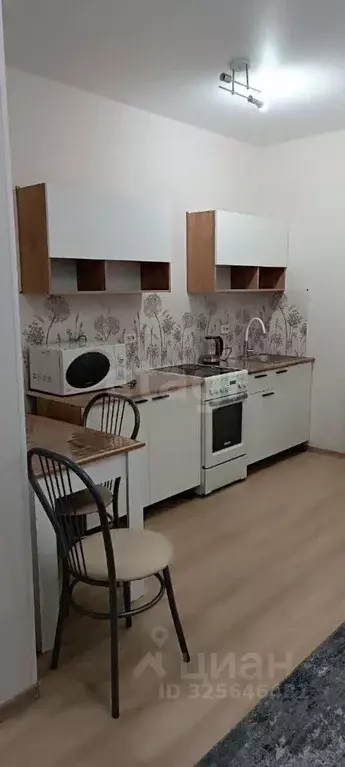 Студия Свердловская область, Екатеринбург ул. Щербакова, 80 (26.5 м) - Фото 2