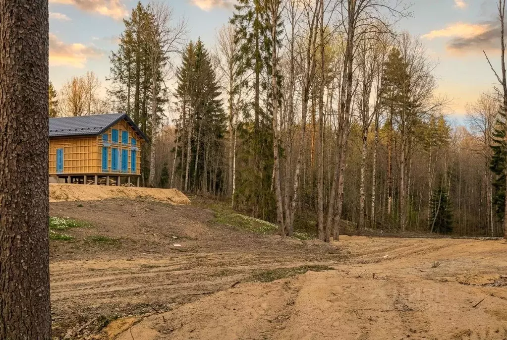 Участок в Ленинградская область, Всеволожский район, Куйвозовское ... - Фото 1