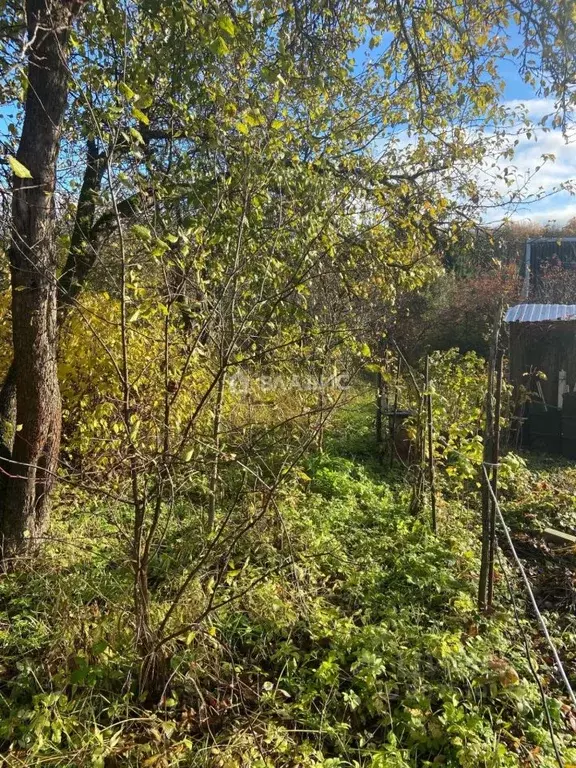 Участок в Нижегородская область, Нижний Новгород Заветы Мичурина Сад № ... - Фото 1