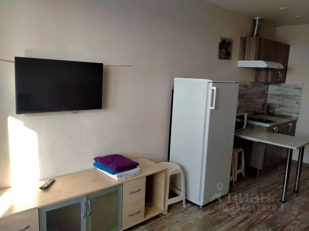 Студия Воронежская область, Воронеж ул. Ломоносова, 114/20 (30.0 м) - Фото 2