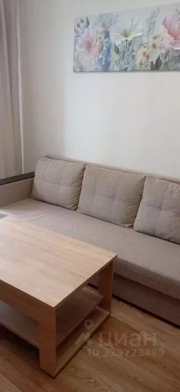 Студия Новосибирская область, Новосибирск ул. Петухова, 16/3 (20.4 м) - Фото 2