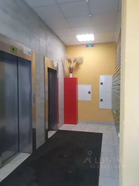 Студия Ленинградская область, Мурино Всеволожский район, просп. ... - Фото 1