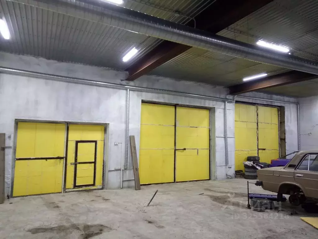 Помещение свободного назначения в Челябинская область, Челябинск ул. ... - Фото 1