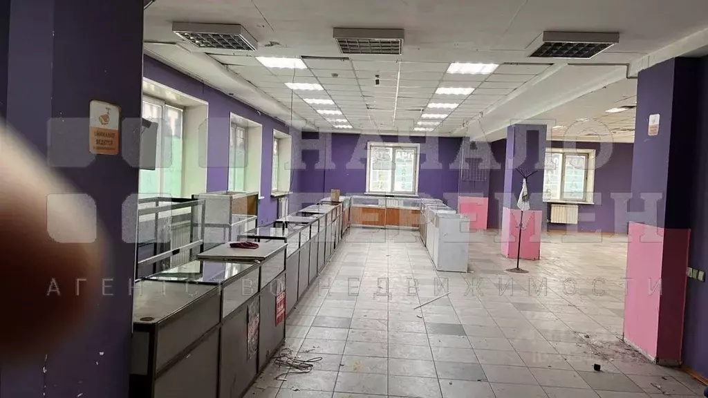 Помещение свободного назначения в Новосибирская область, Новосибирск ... - Фото 1
