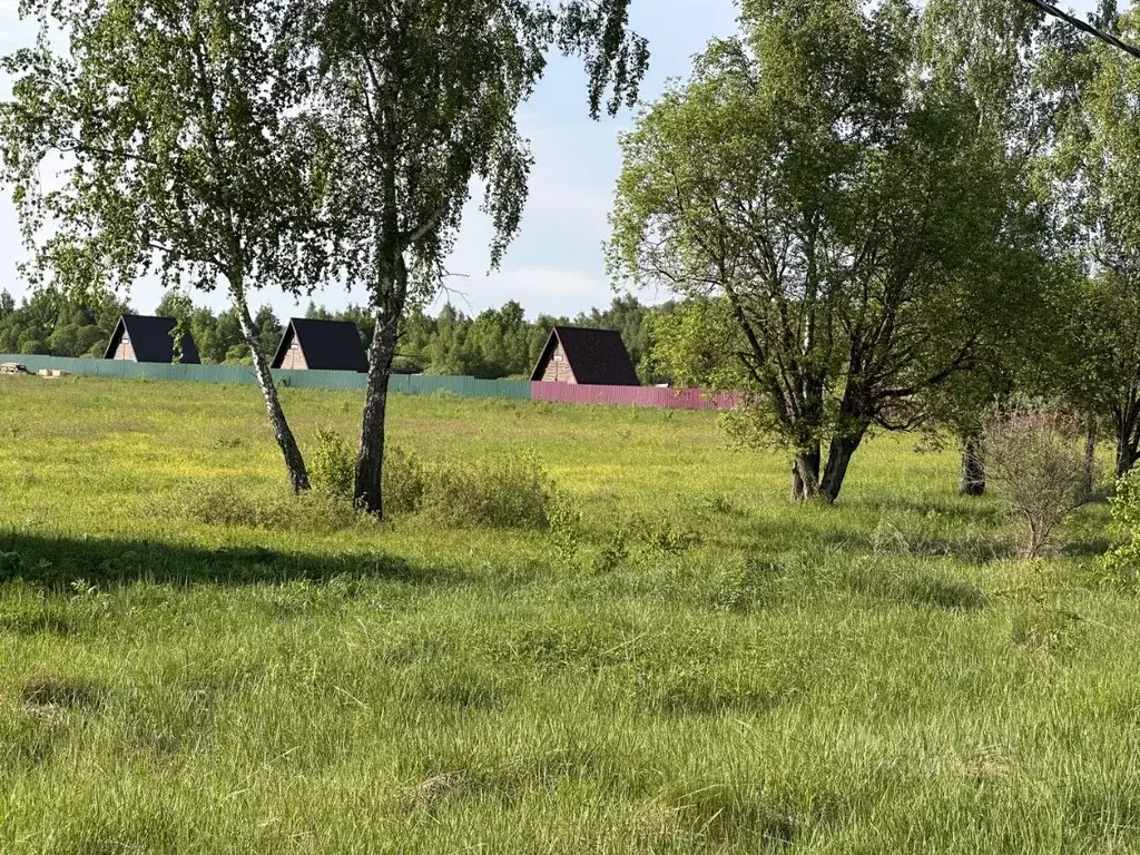 Участок в Калужская область, Боровский муниципальный округ, д. Ильино ... - Фото 1