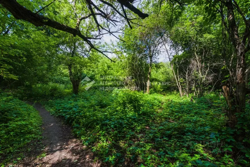 Участок в Рязанская область, Рязань Речная ул. (6.23 сот.) - Фото 1