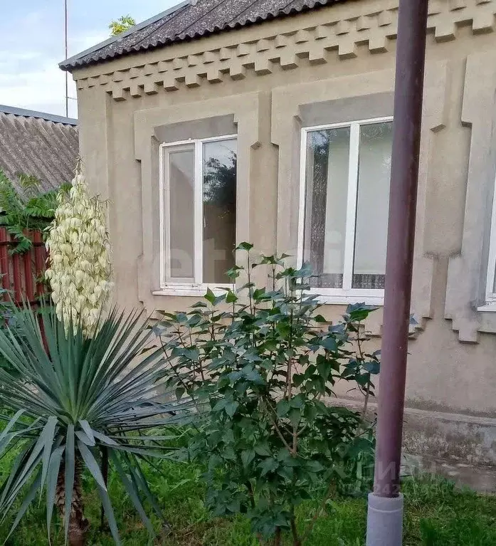 Дом в Краснодарский край, Красноармейский район, Трудобеликовское ... - Фото 1