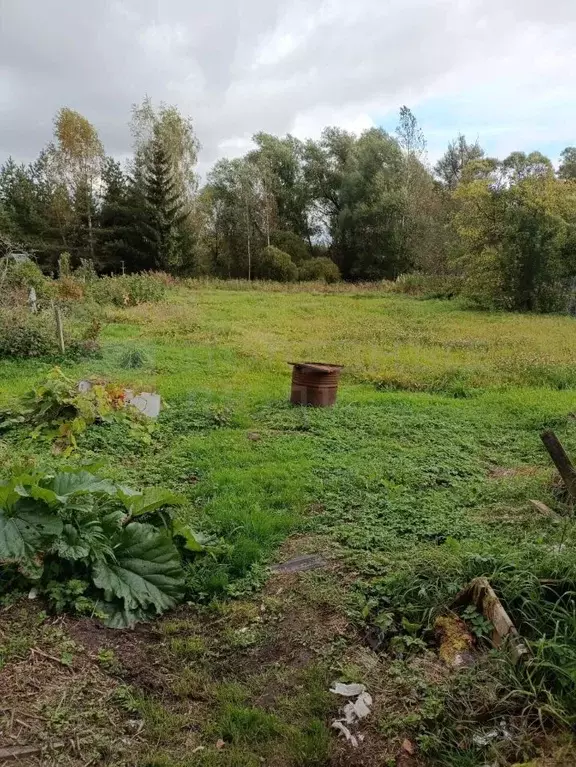 Дом в Новгородская область, Боровичский район, д. Егла Совхозная ул., ... - Фото 1